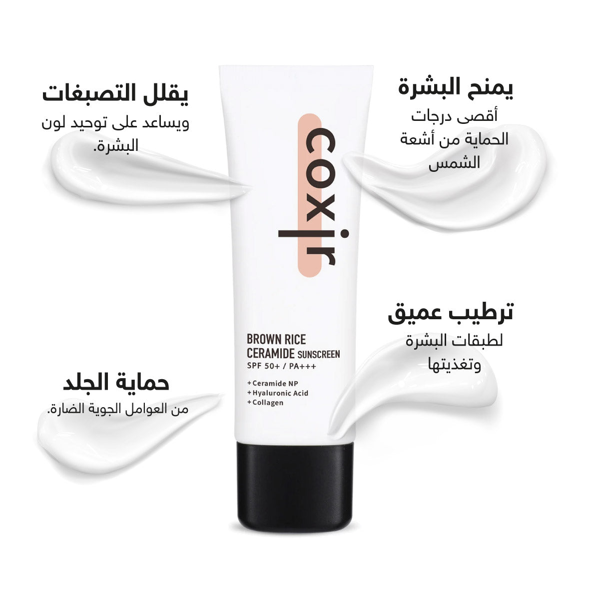 Coxir Brown Rice Ceramide Sunscreen - 50ml